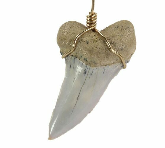 Fossil Mako Tooth Necklace - Bakersfield, California #95262